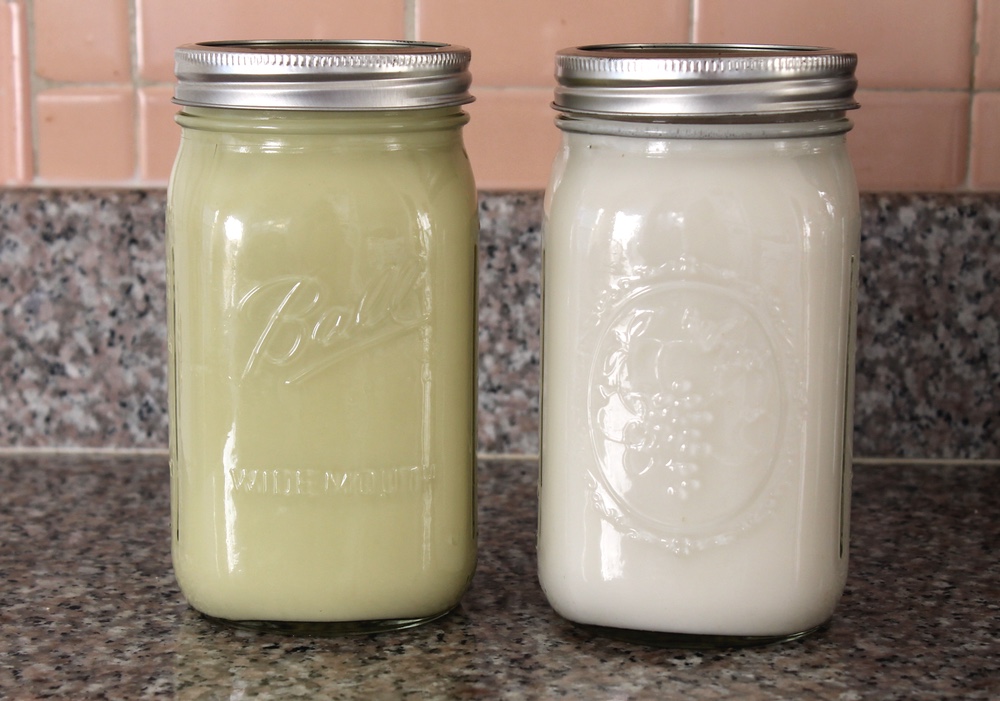 Homemade pistachio and almond milks. Photo: Kate Williams