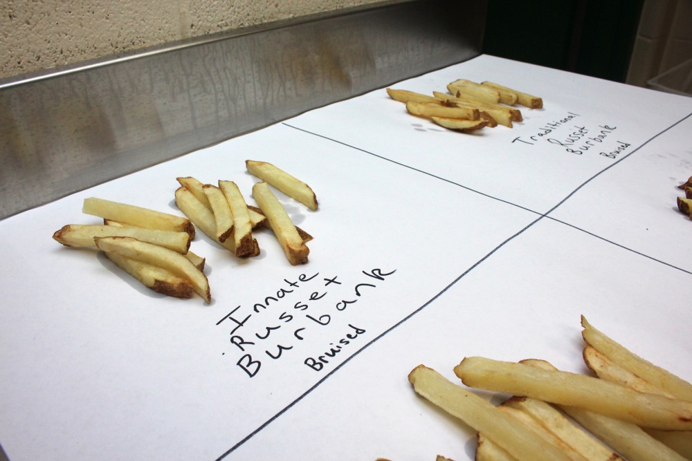 Michigan State's researchers cooked up two batches of fries to compare bruising in traditional, non-GMO potatoes (left) and GMO potatoes (right). Photo: Dan Charles/NPR