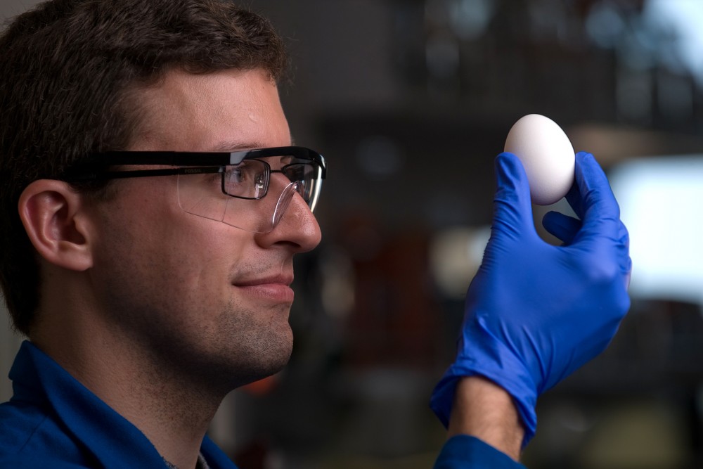 Professor Greg Weiss of the University of California, Irvine is one of the researchers who has developed a way of unboiling a egg. Photo: Steve Zylius/UC Irvine Communications