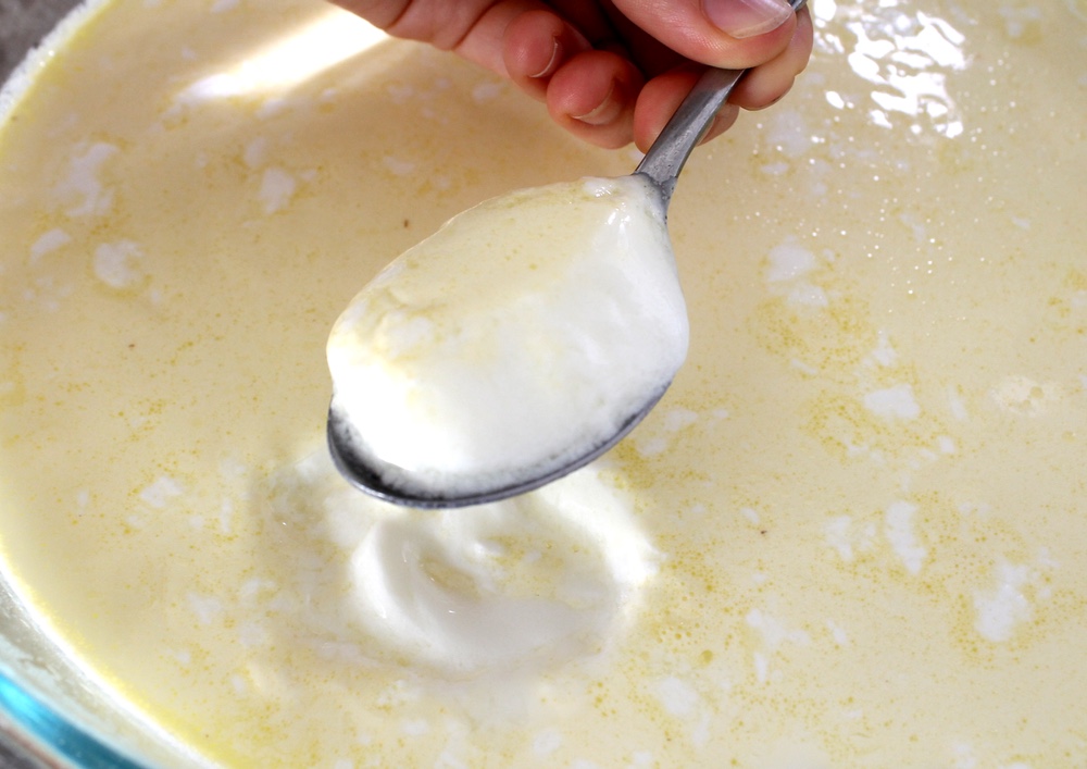 You’ll know the yogurt is set when it holds its shape on a spoon. Photo: Kate Williams