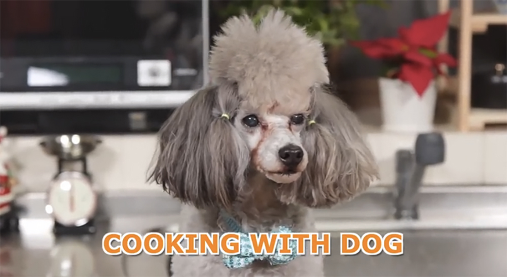 Cooking with dog2