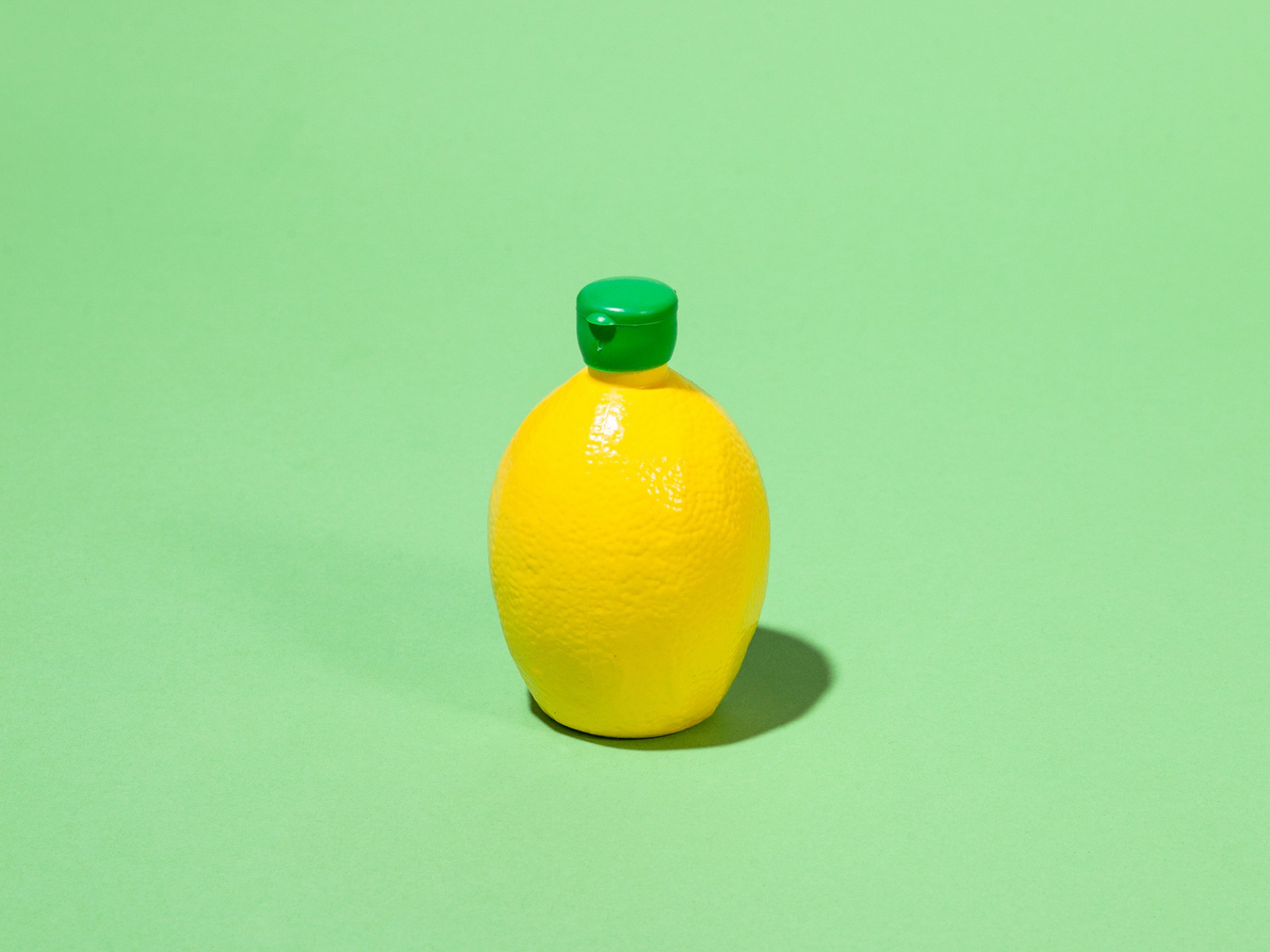 Lemon. Image: Ariel Zambelich/NPR