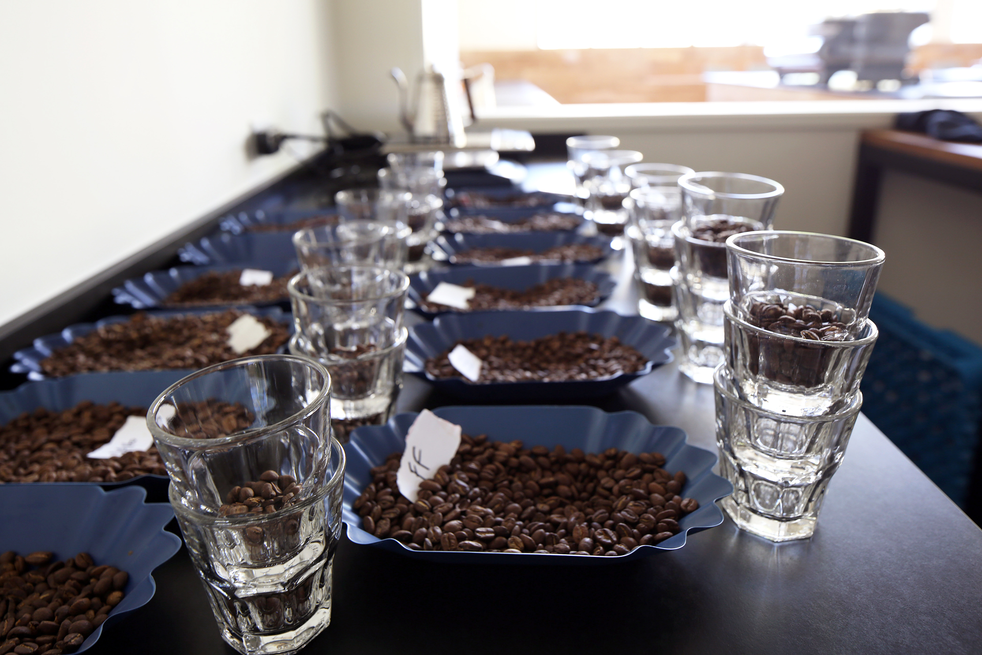 The cupping lab. 