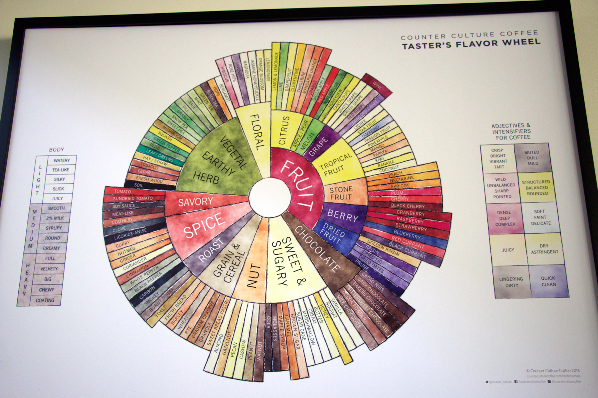 The taster’s flavor wheel, developed by Tim Hill, buyer and quality manager.