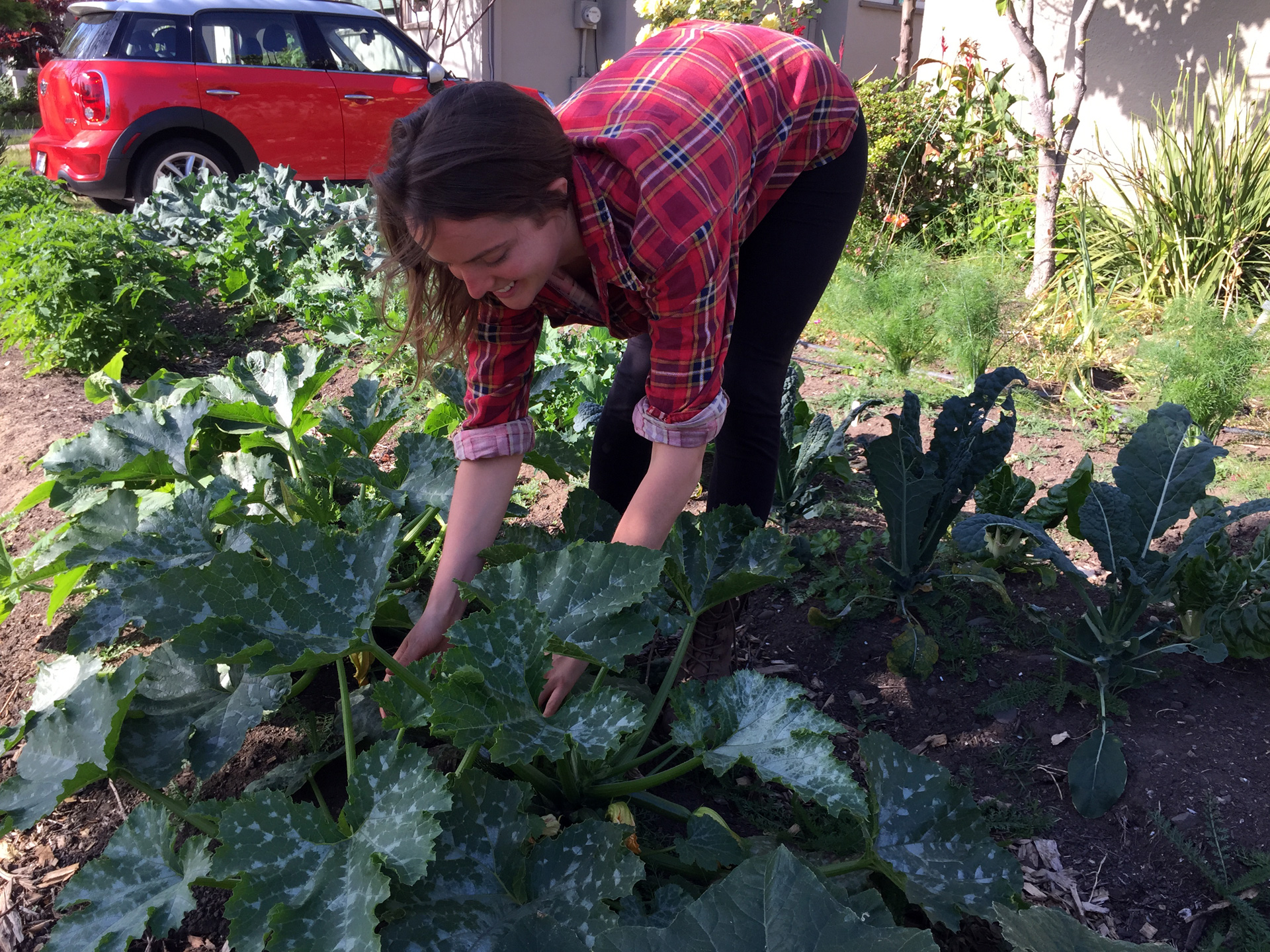 Mary Lemmer tends to a garden at a client's home in Oakland.