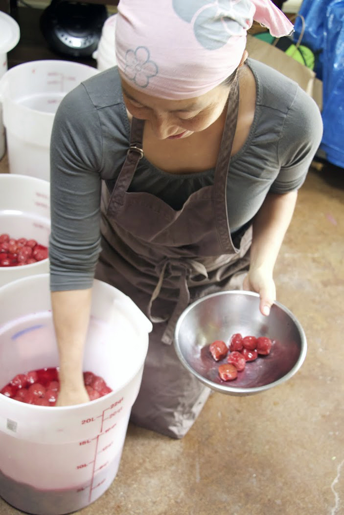 Ayako Iino pulls salted plums from their cure.