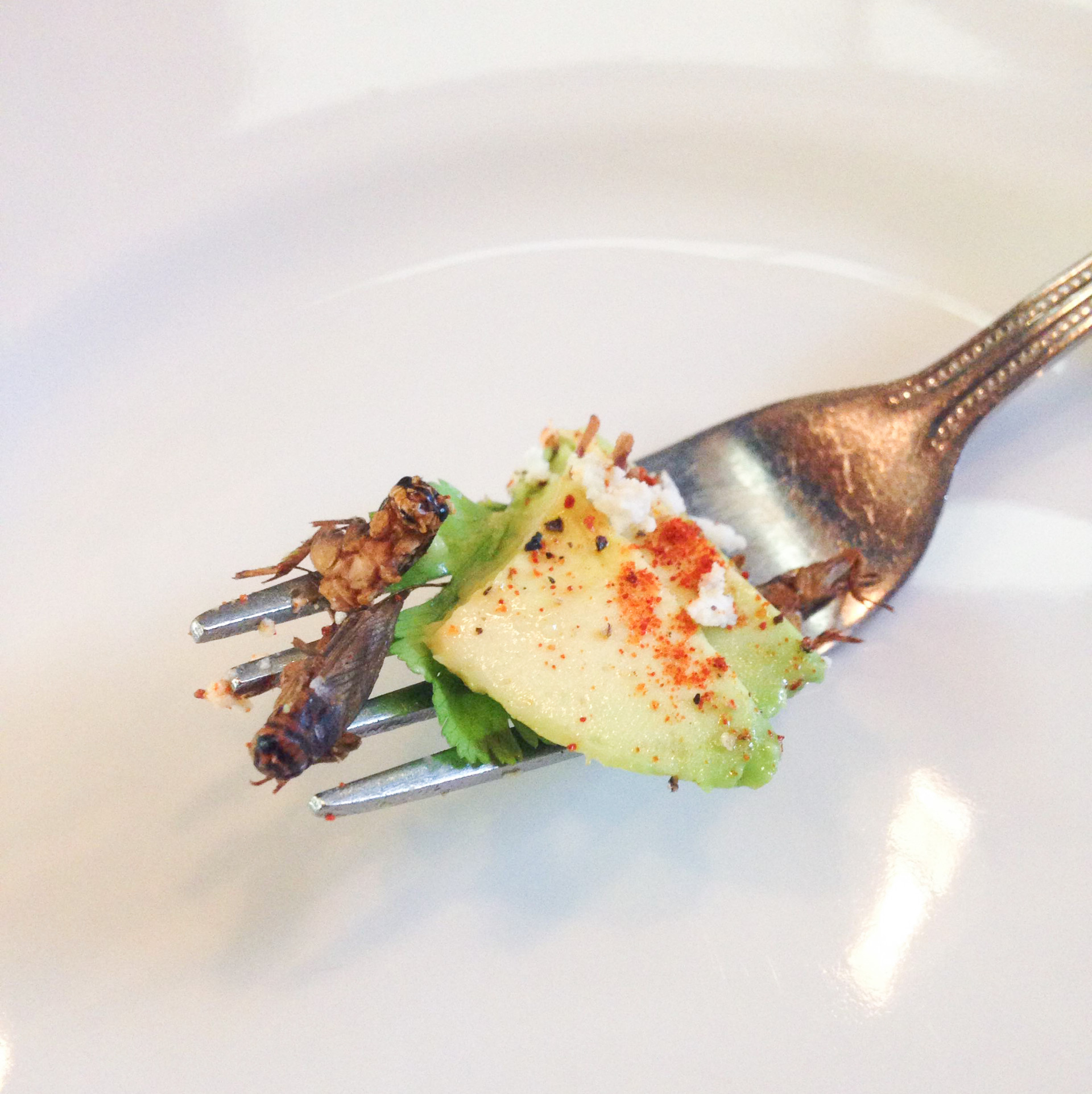 Chef Jesse Griffiths' Texas avocado and cricket salad at Dai Due restaurant in Austin, Texas. 