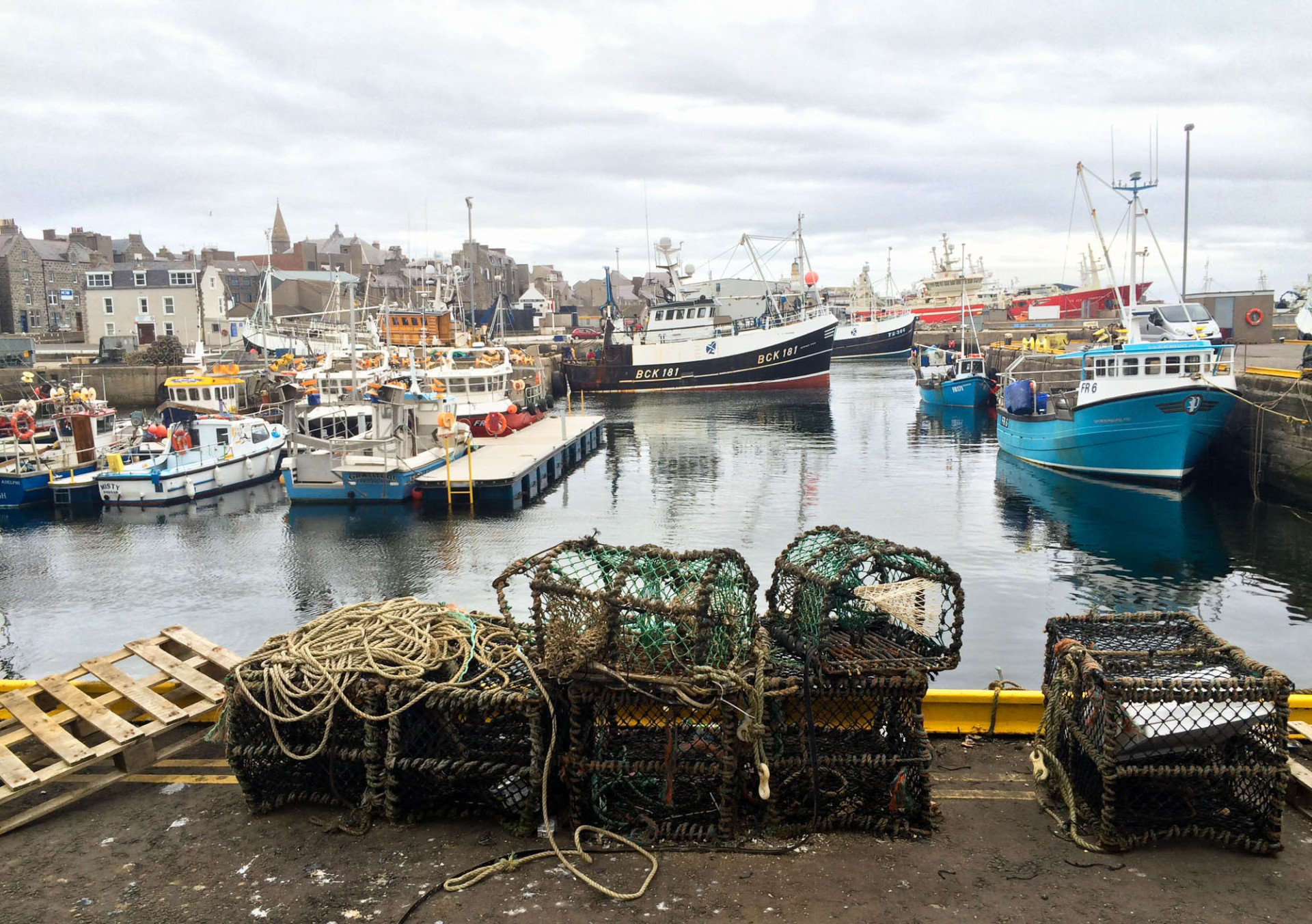 A view of the fishing port in Fraserburgh, Scotland. A decade ago, fishermen trying to catch cod were coming up empty. Now the cod and hake catch is rebounding.