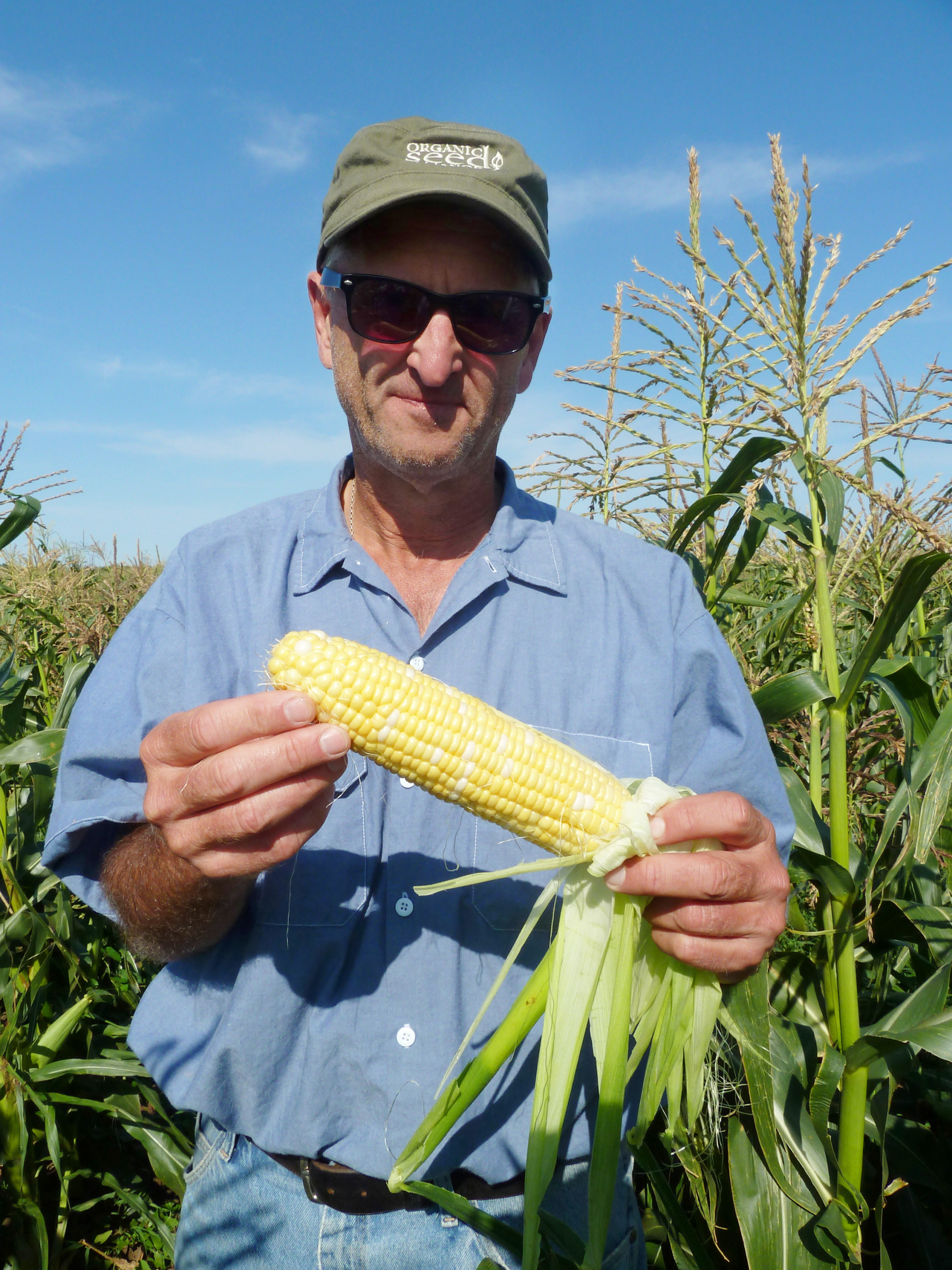 Bill Tracy, who breeds organic versions of sweet corn in Wisconsin, recently released one called "Who Gets Kissed."
