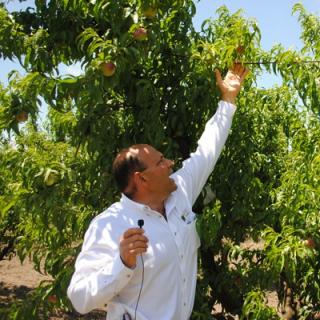 Victor Martino of Bella Viva Orchards