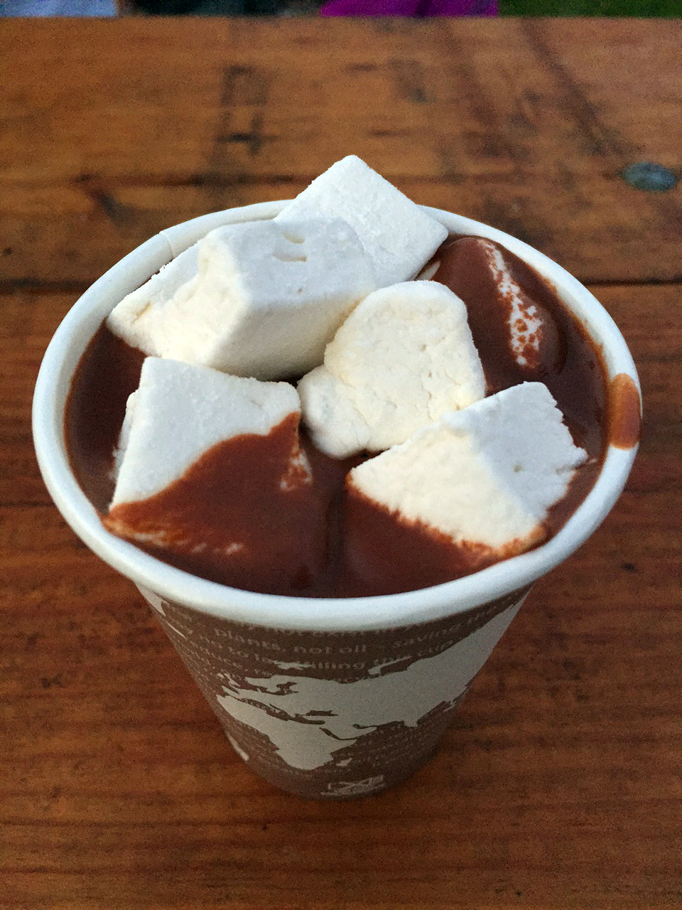Hot Chocolate from Charles Chocolates with homemade marshmellows.