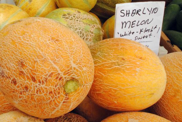 Sharlyn melons