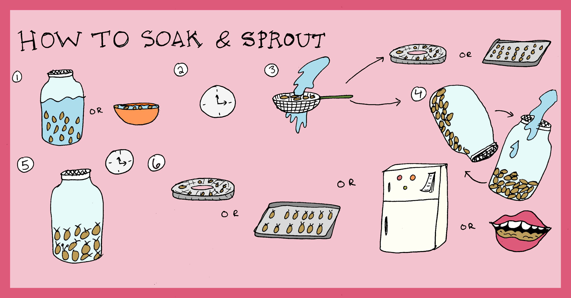 How to Soak & Sprout