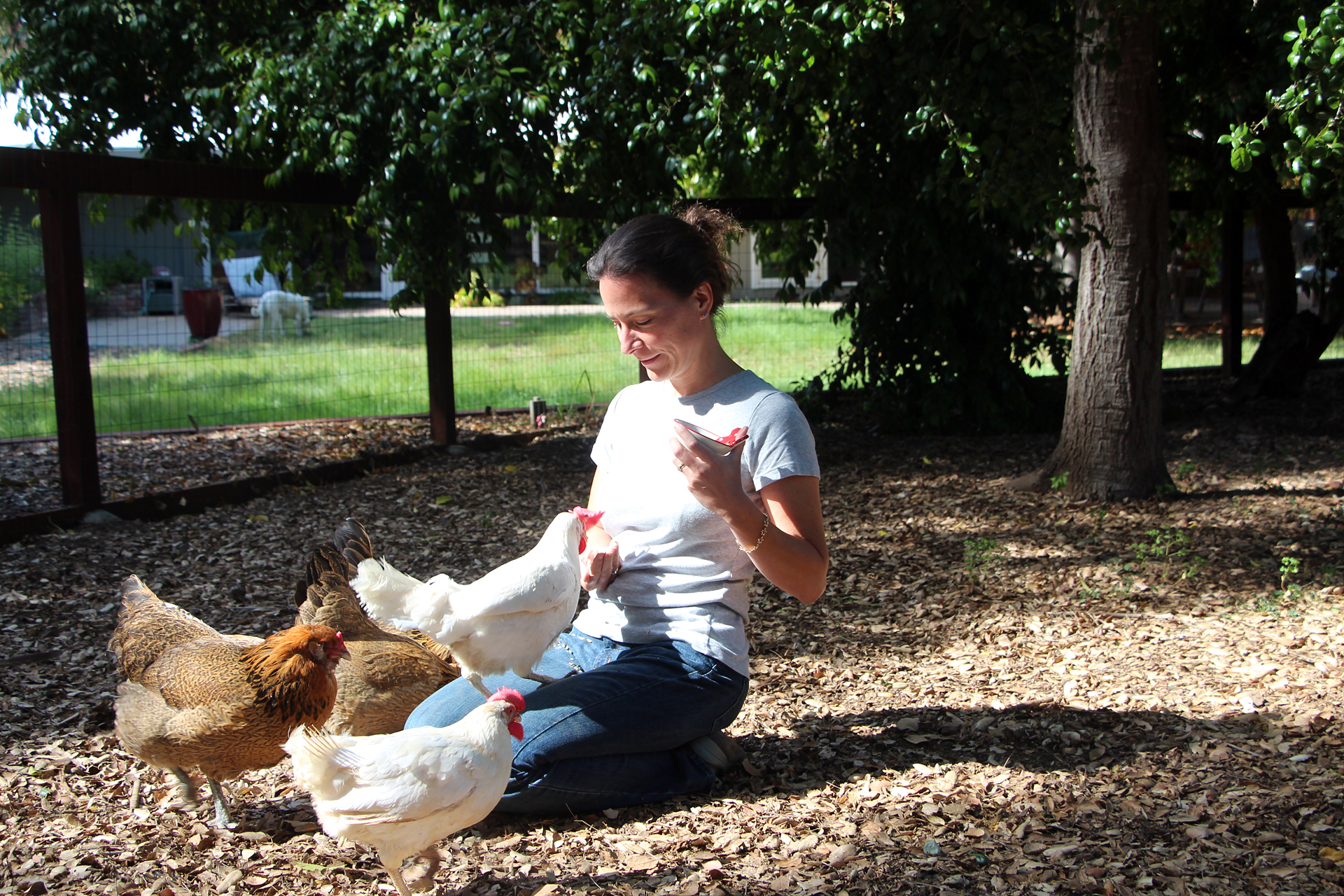 Isabelle Cnudde says taking care of chickens is much less maintenance than her cats or dog.