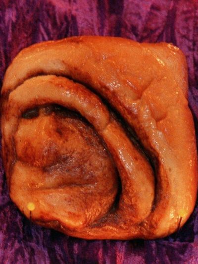 A cinnamon bun, famous for bearing what some perceive as the likeness of Mother Teresa, is seen in an undated file photo.