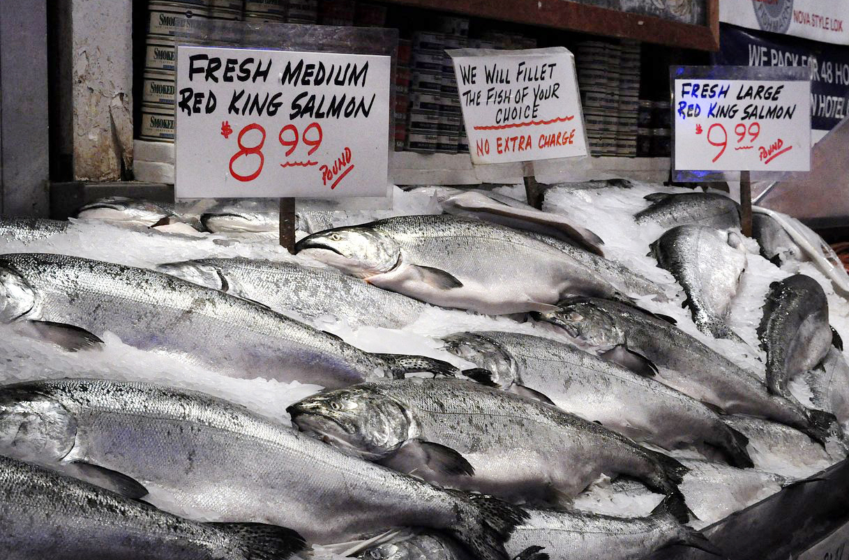 Salmon for sale at a market.