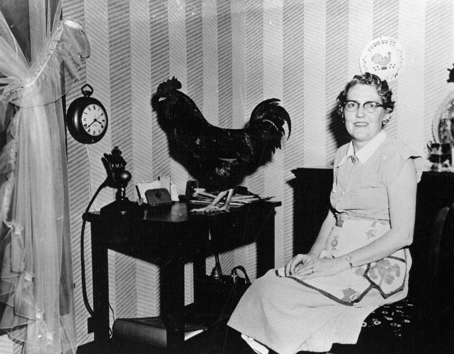 Florence Falk and a rooster are pictured in the 1950s at a table in the dining room where broadcasts of The Farmer's Wife originated.