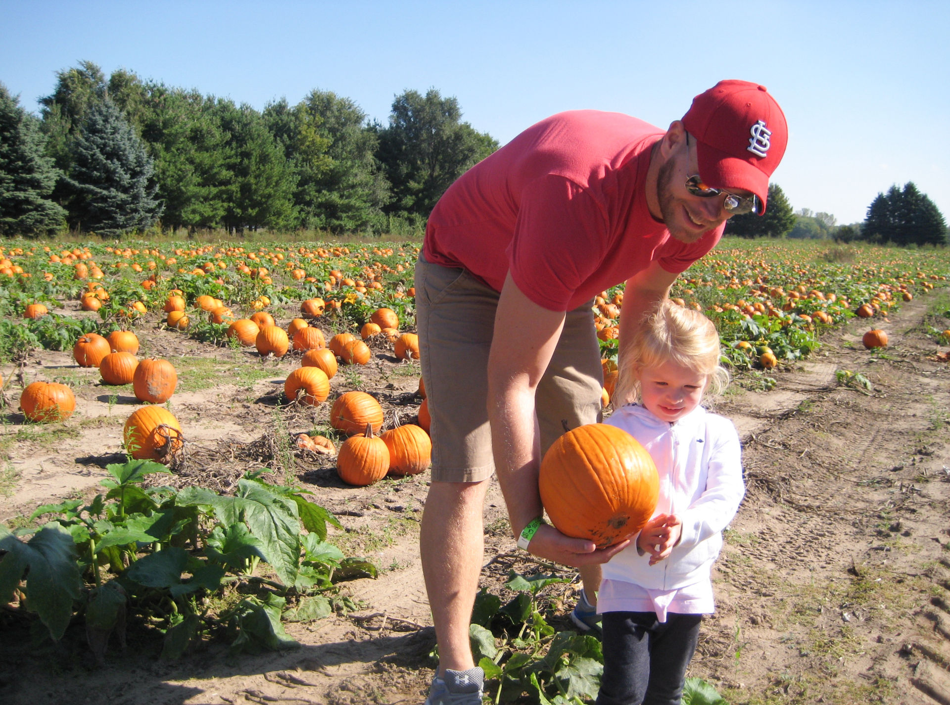 Kevin Coppinger took his nearly 3-year-old daughter, Mae, to choose a pumpkin at Waldoch Farm. The farm added a corn maze about five years ago. Owner Doug Joyer says adding such attractions has allowed him to live solely off income from the farm.