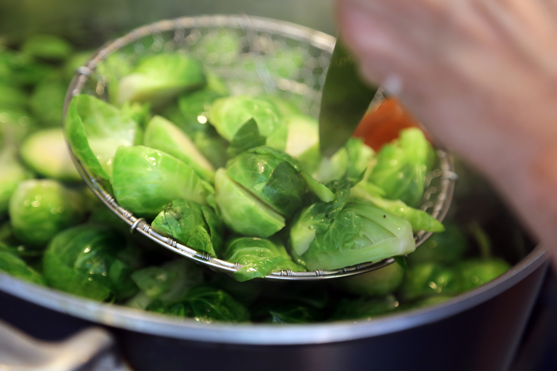 Blanch the sprouts until just tender, 3 to 7 minutes. 