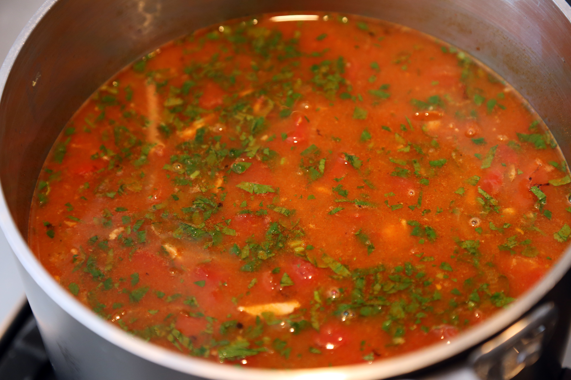 Add cilantro and simmer until warmed through.