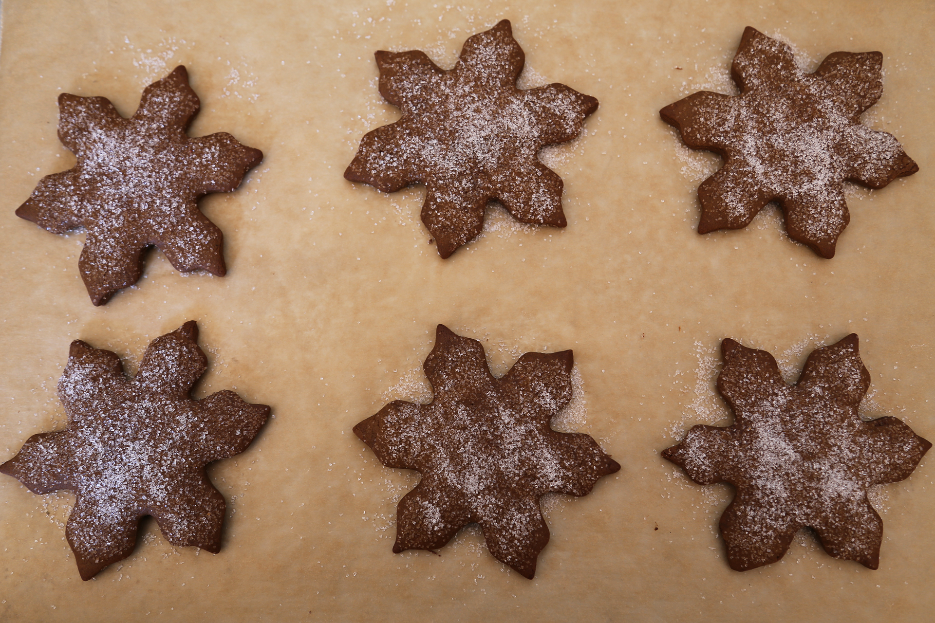 Gingerbread snowflakes with sparkle sugar.
