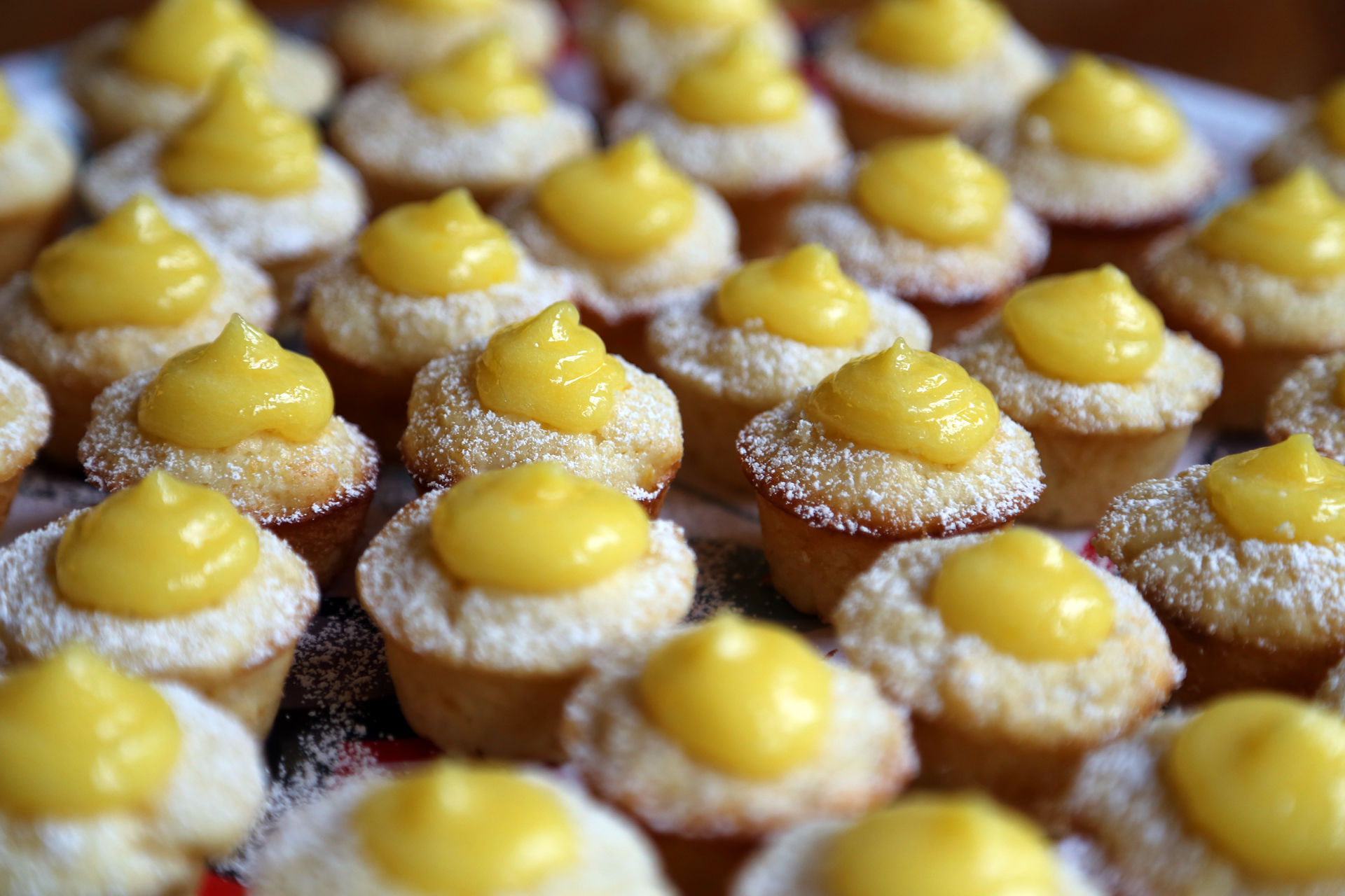 Mini Meyer Lemon Curd Cupcakes