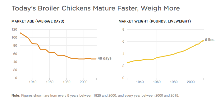 Source: National Chicken Council