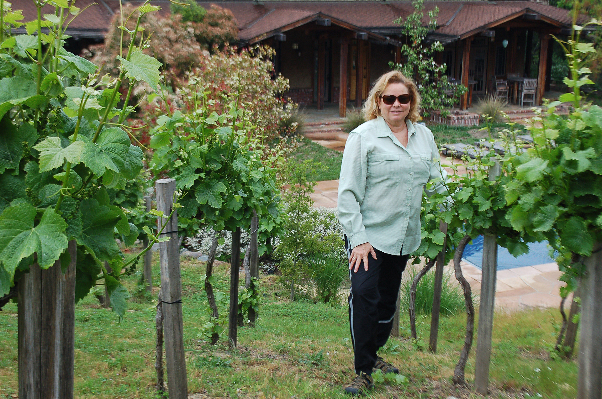 Vineyard manager/winemaker Nancy Freire specified and planted this pinot noir vineyard in a cool spot in Portola Valley, where the vines surround a large estate and pool.