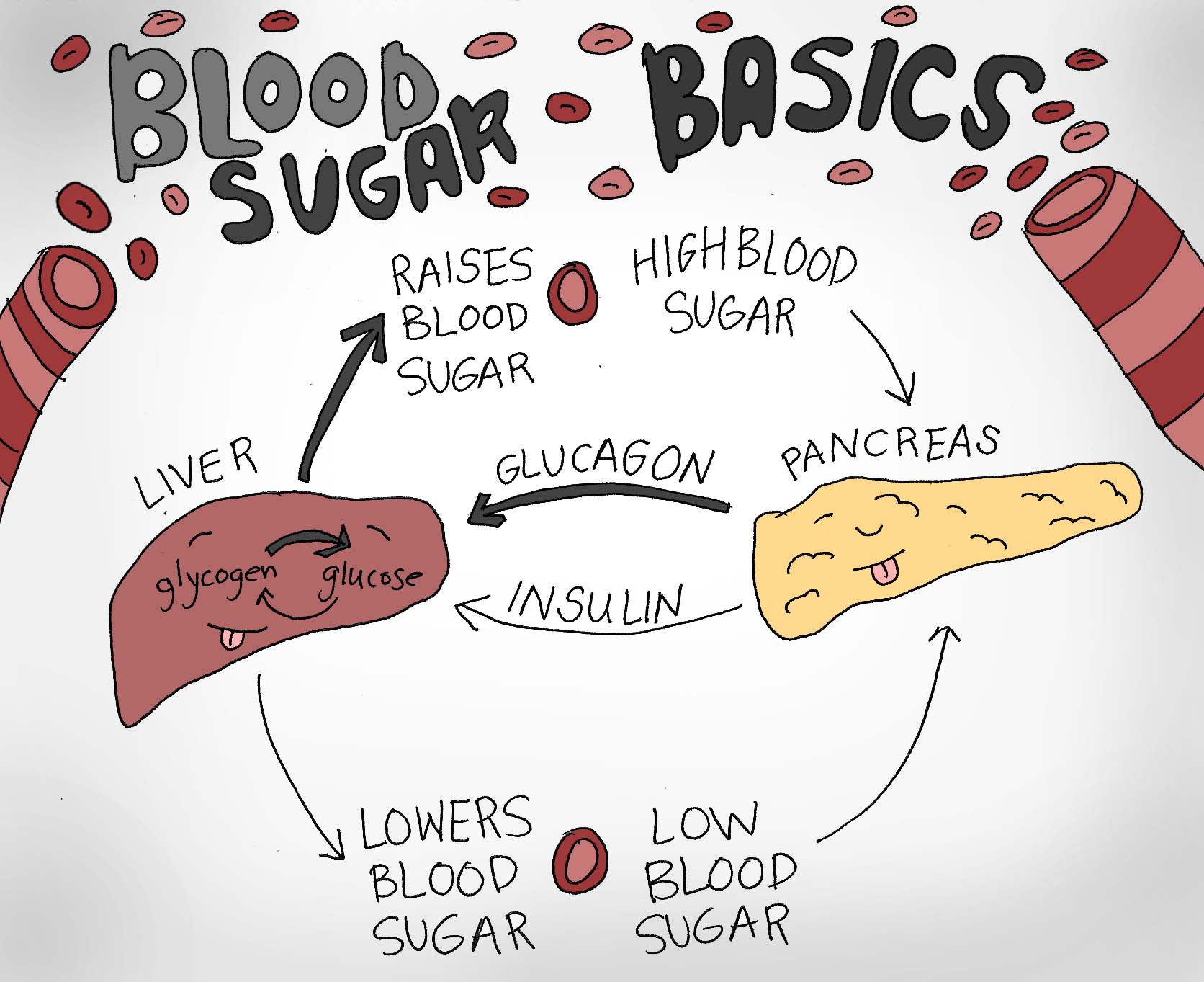 Blood sugar Basics.