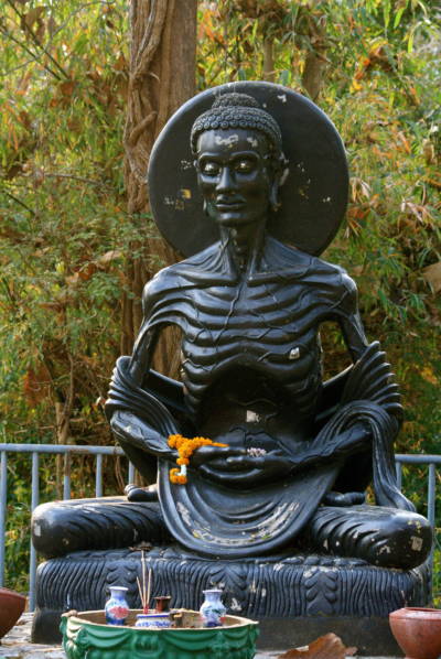 A statue depicts an emaciated Buddha, who denied himself food as a form of asceticism before finding enlightenment.