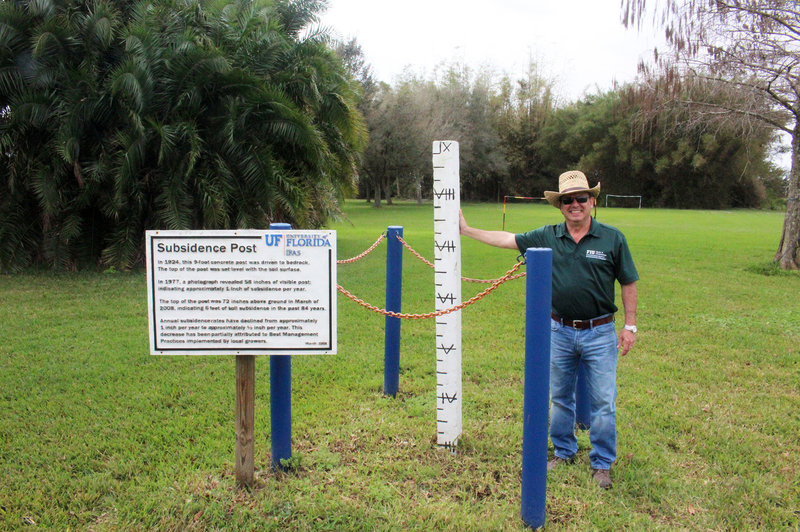 Leonard Scinto, a researcher at Florida International University, standing beside a concrete post that measures the subsidence of soil in the Everglades Agricultural Area. In 1924, the top of the post was level with the ground surface.