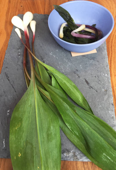 Chef Rob Weland fermented ramps to make a ramp kimchi, which was featured on his menu this spring at Garrison restaurant in Washington, D.C.