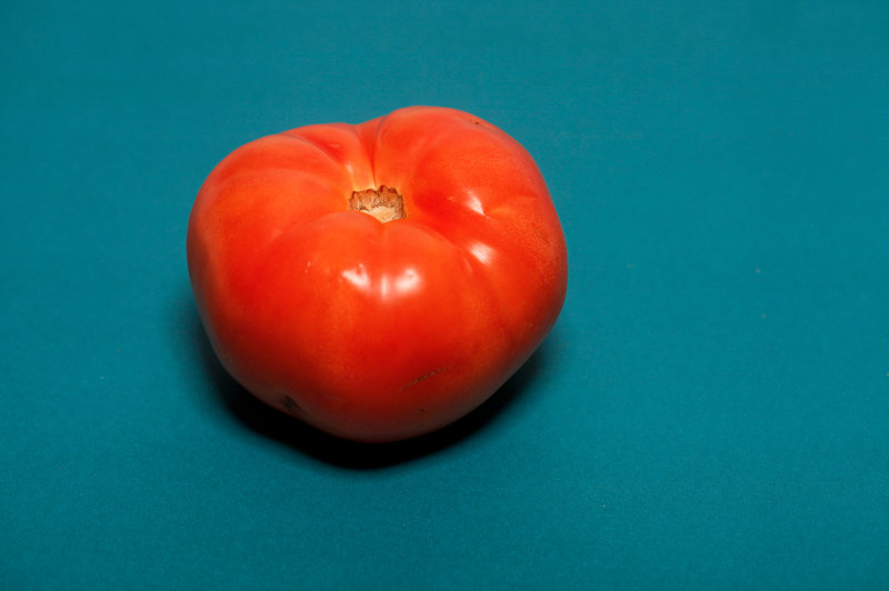 Florida tomato
