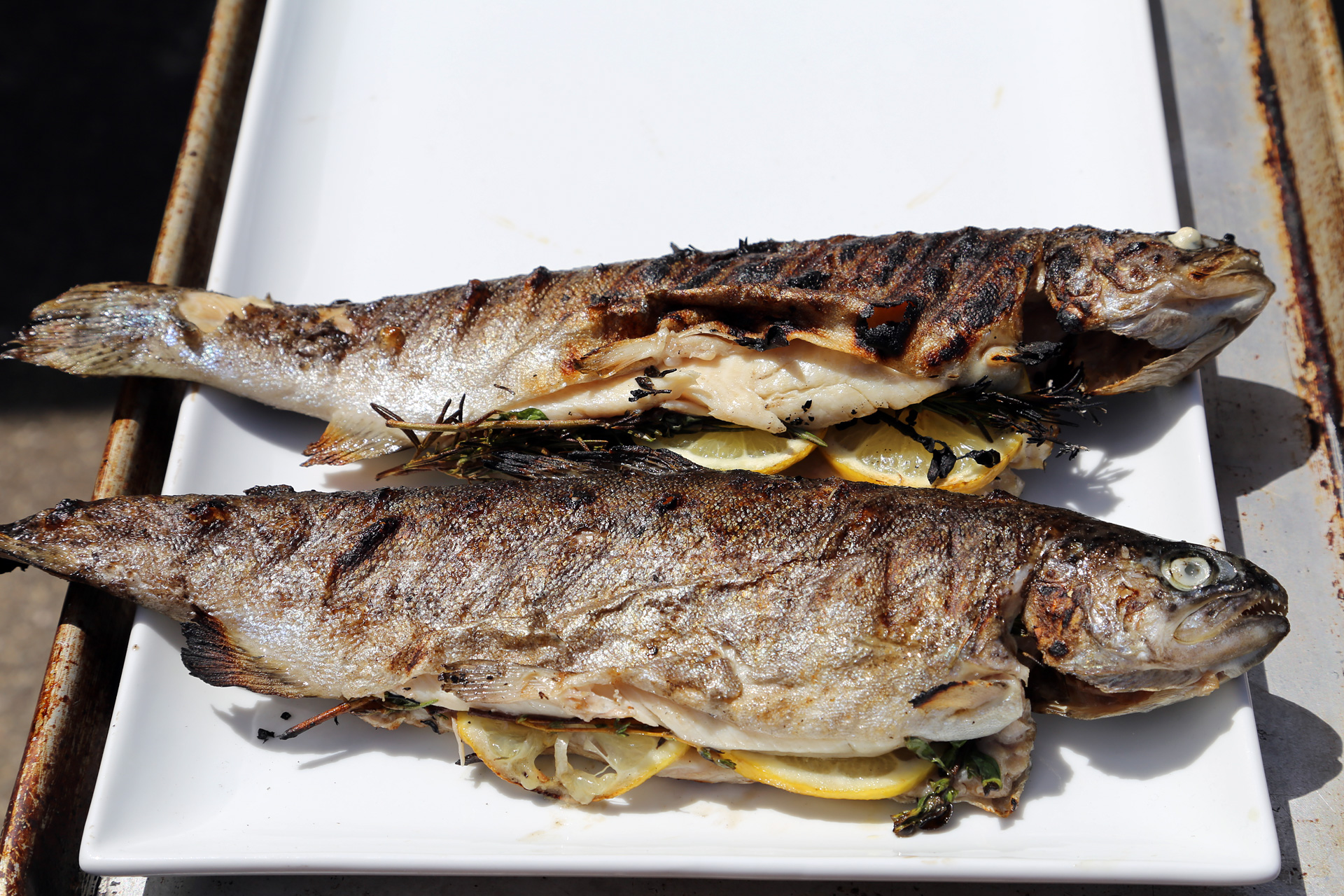 Serve Grilled Rainbow Trout right off the grill.