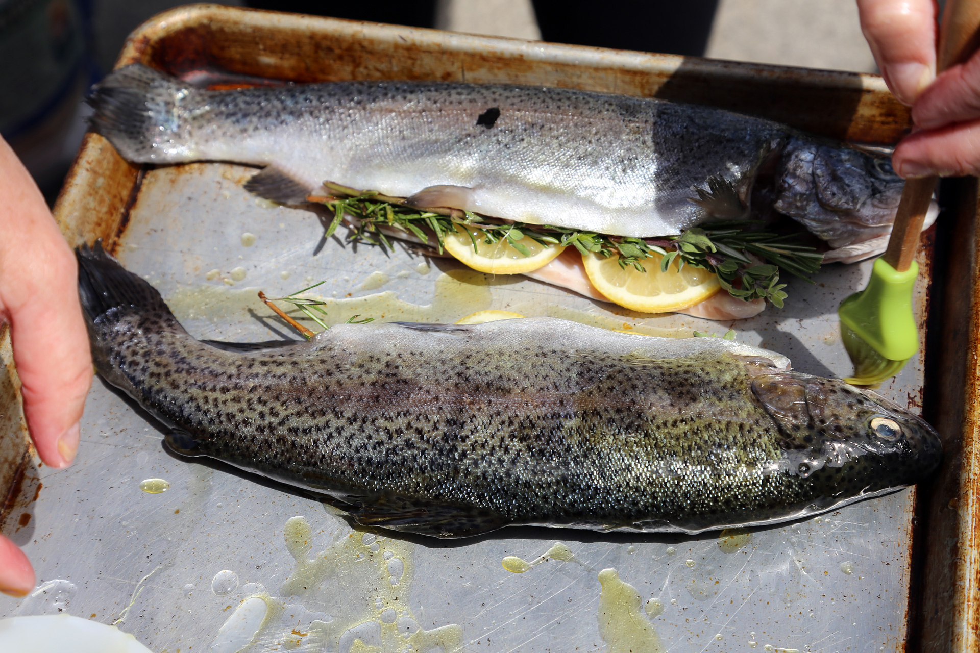 Brush the outside of each trout with plenty of olive oil and set on a baking sheet.