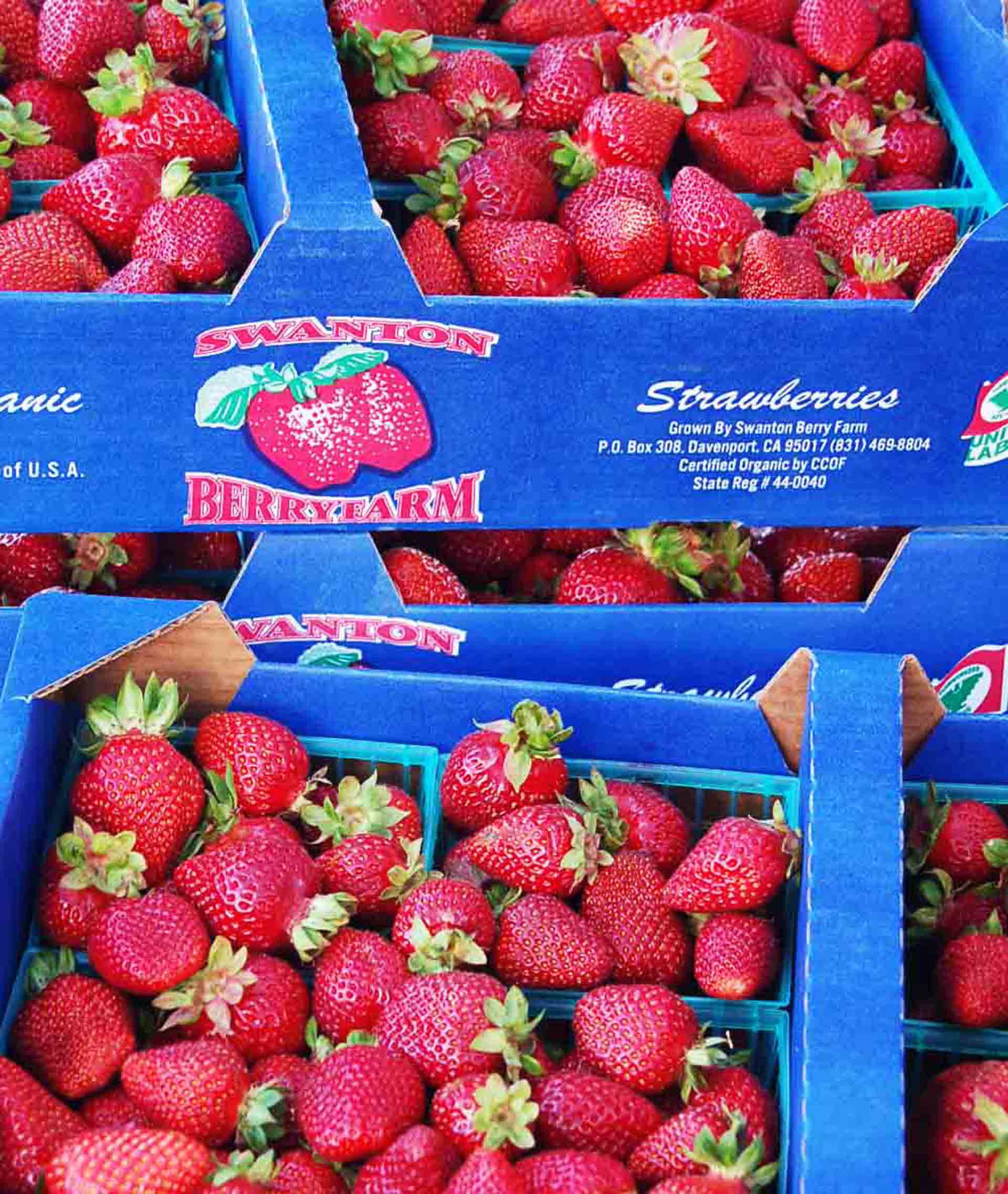 The Chandler berries from Swanton are found at Bay Area farmers markets as well as markets such as Bi-Rite, Monterey Market and Rainbow Grocery, depending on availability.