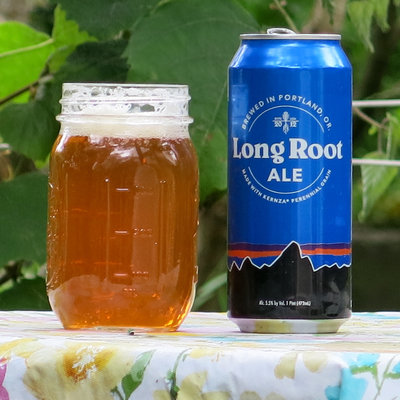 Long Root Ale is a new beer made by Hopworks Urban Brewery, in Portland, Oregon, and Patagonia Provisions, a subsidiary of the Patagonia outdoors brand. It is the fist commercially available product to use Kernza.