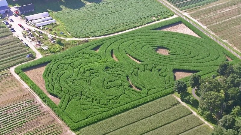 Mike's Maze from 2005 was an homage to Albert Einstein and his spiral galaxy.