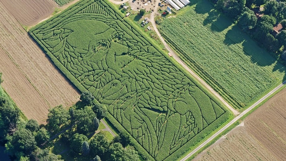 Charles Darwin and his evolutionary finches were the theme of Mike's Maze in 2009.