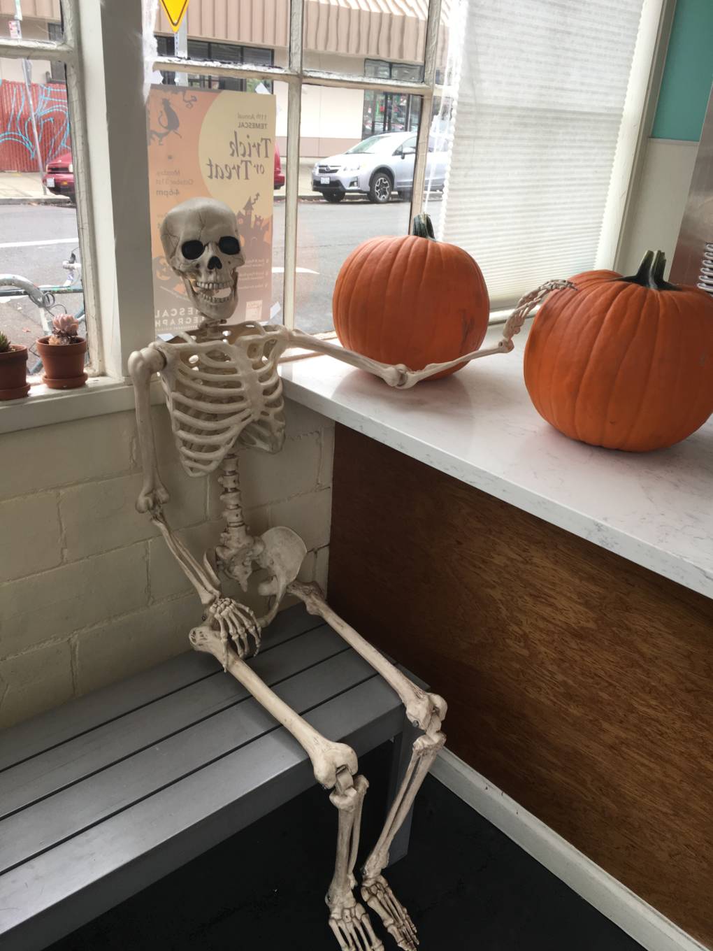Curbside Creamery Skeleton with Pumpkins