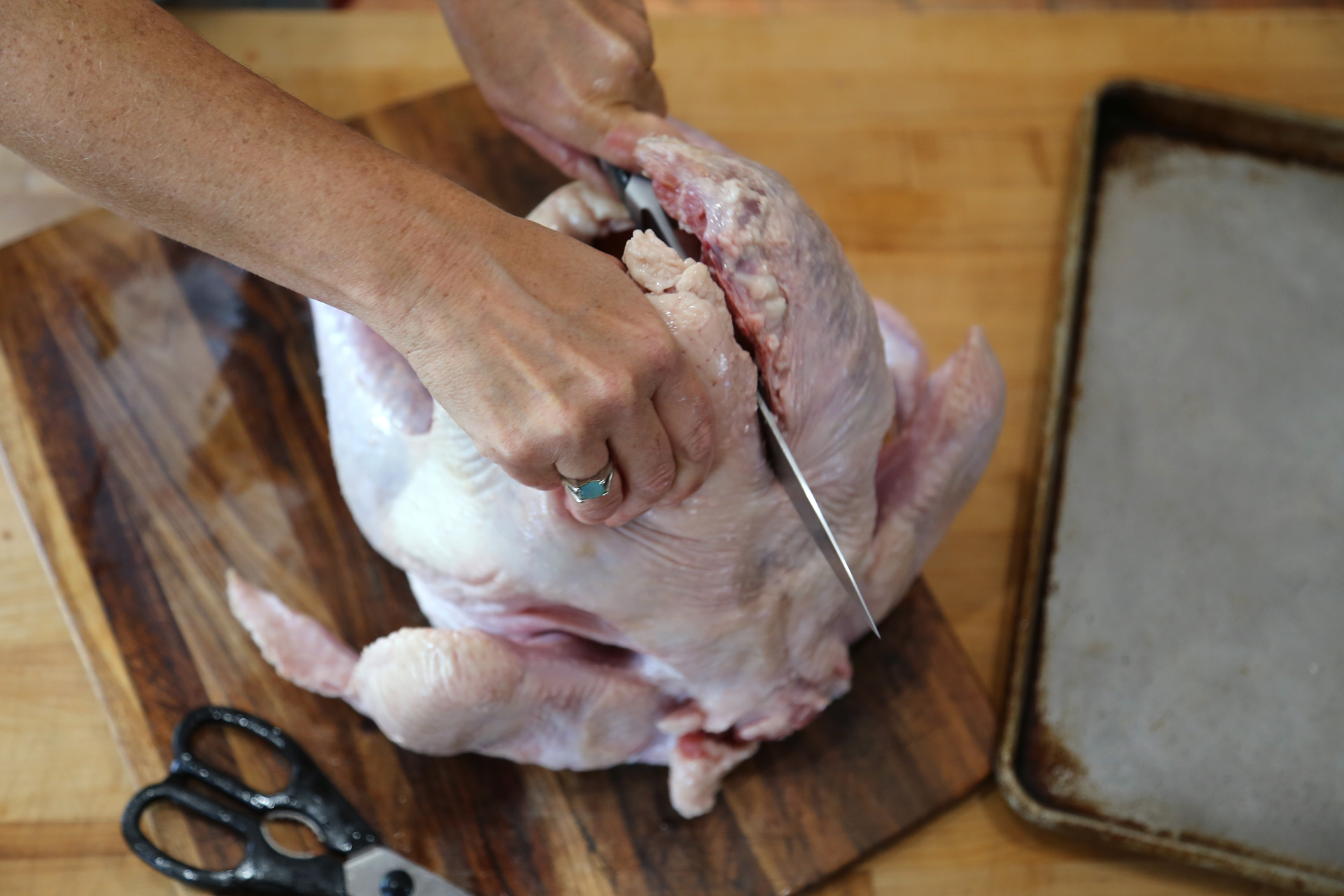 Using poultry shears (and/or a sharp chef’s knife), cut out the backbone of the turkey.