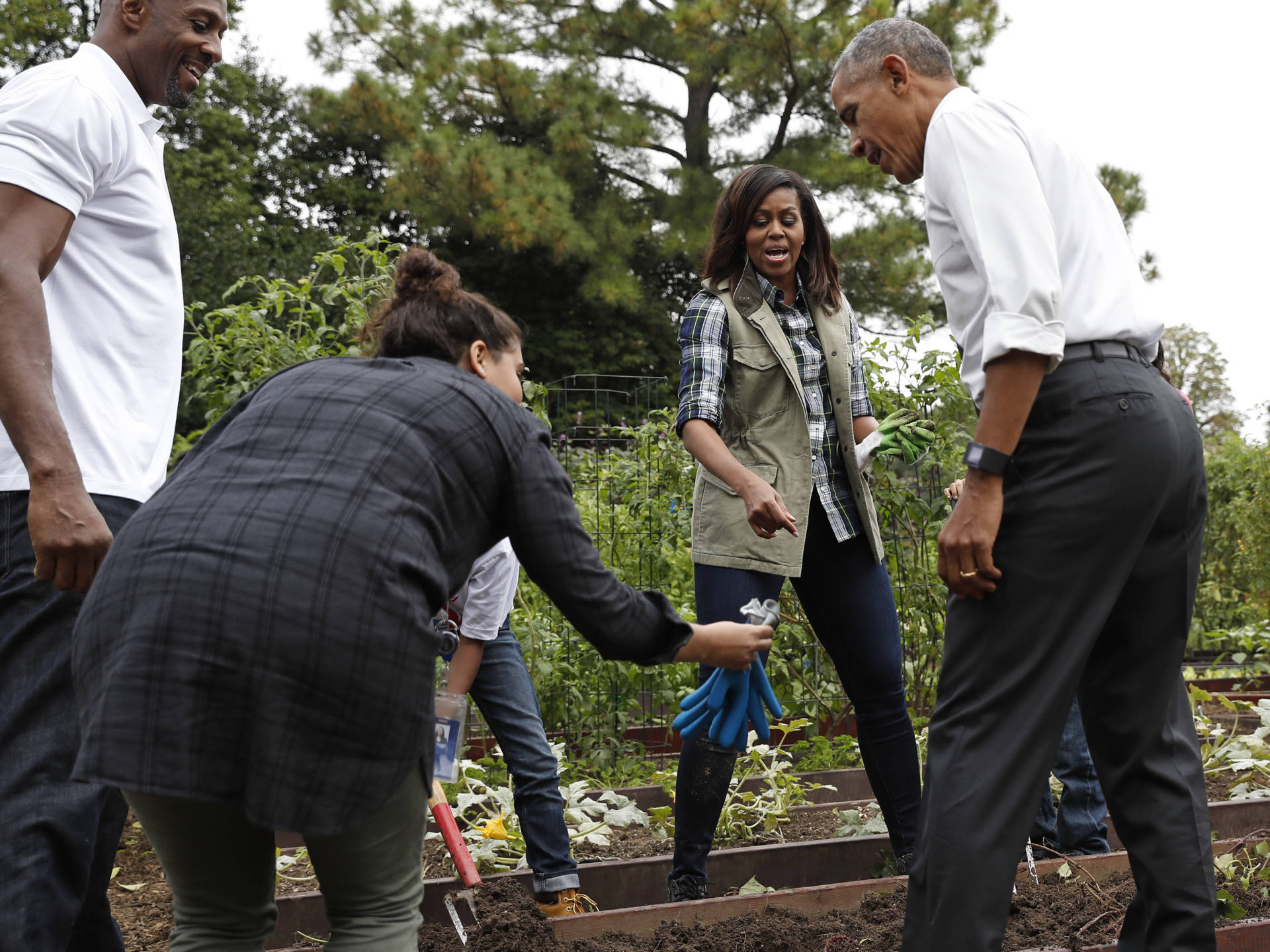 President Barack Obama is handed a pair of gardening gloves as first lady Michelle Obama, second from right, and NBA basketball player Alonzo Mourning, left, watch during the harvest of the White House Kitchen Garden on the South Lawn White House in Washington.
