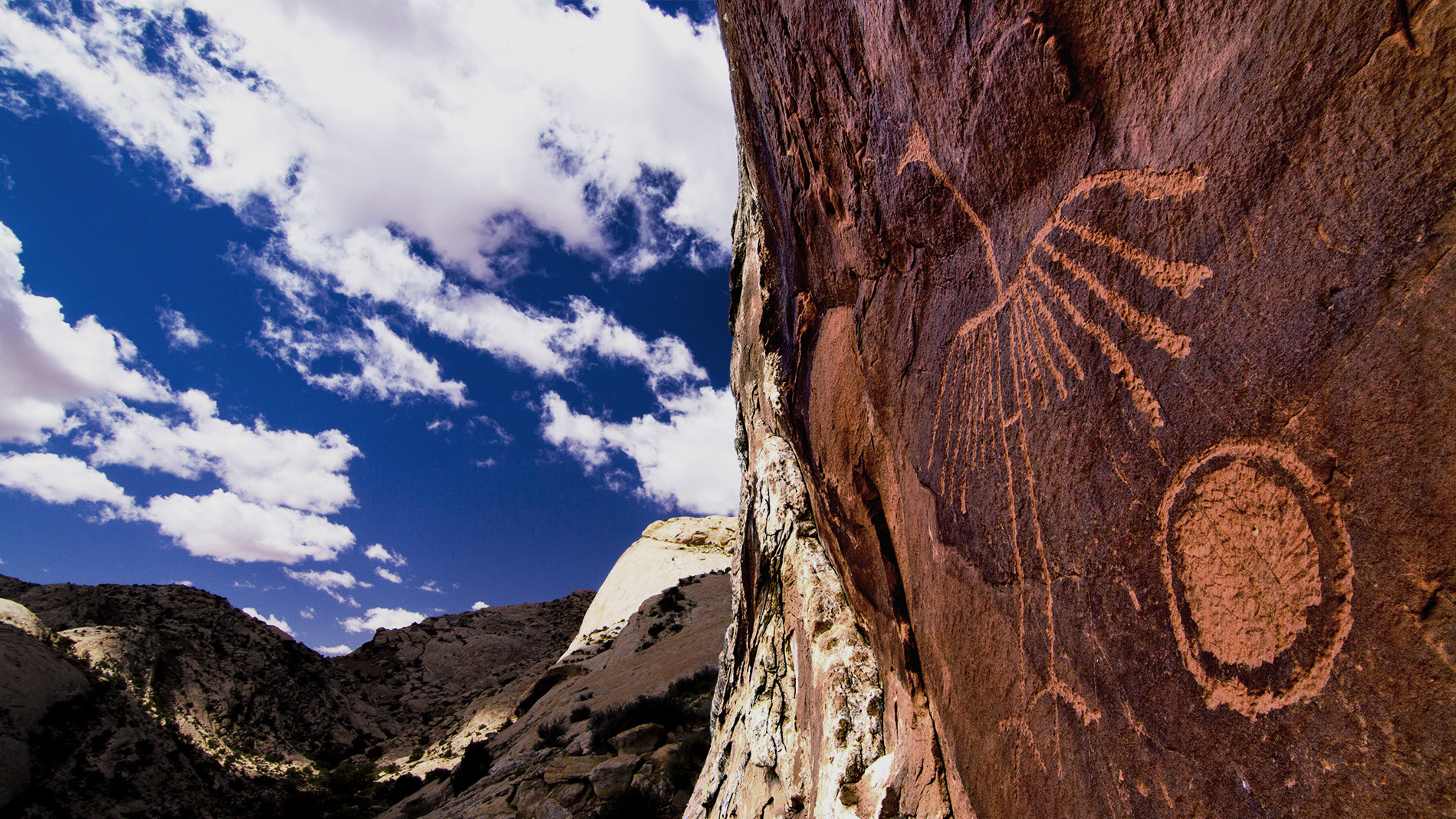A petroglyph of a crane on Comb Ridge, part of the Bears Ears National Monument. The Ancestral Puebloans lived in the area's alcoves and grew corn in its washes, according to the Bears Ears Inter-Tribal Coalition.