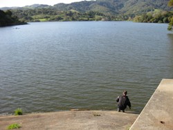 A deceptively full Stafford Lake reservoir in northern Marin County. Photo by David Gorn.