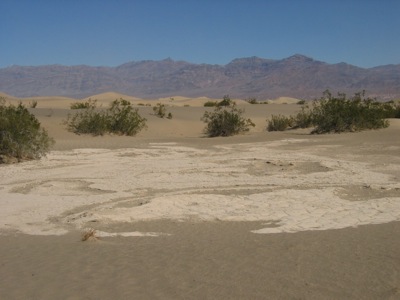 Looking across the dunes in Death Valley. Photo: Craig Miller