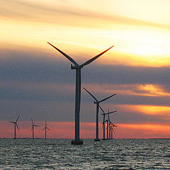 Wind turbines off Scottish coast. Photo: World Wildlife Fund