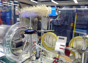 Carbon capture demo at the annual American Geophysical Union meeting. Credit: Molly Samual.