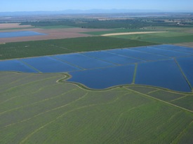 Flooded rice fields in the Sacramento Valley. Photo: Craig Miller