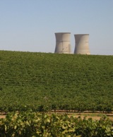Cooling towers from the defunct Rancho Seco nuclear power plant rise above vineyards near Lodi. Photo: Craig Miller