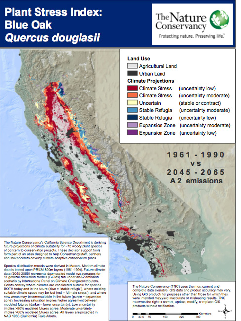 Projected changes in California Blue Oak habitat (Map: The Nature Conservancy)